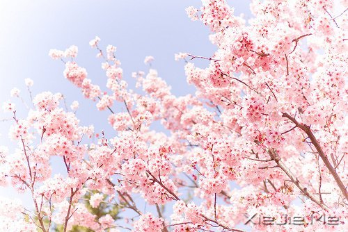 人生有多残酷,你就该有多坚强 (3)