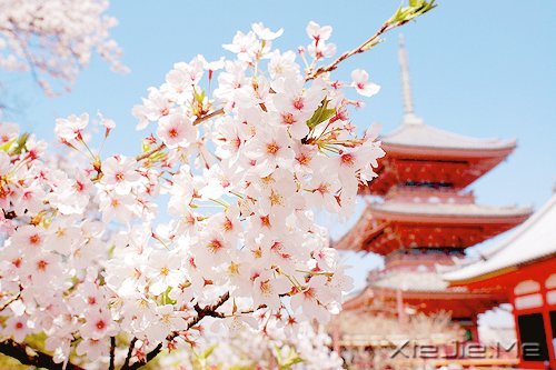 不管成功与否,至少曾经美丽 (3)