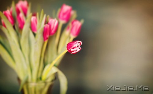 很多道理我们都是心知道,却做不到 (1)