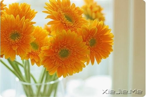 一路感恩,且行且珍惜 (1)