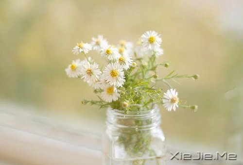 ���ʱ����Ե��ˣ�һ��Ҳ�Ͳ������ (3)