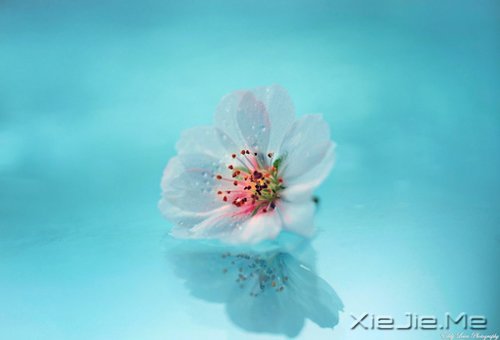 ���ʱ����Ե��ˣ�һ��Ҳ�Ͳ������ (4)