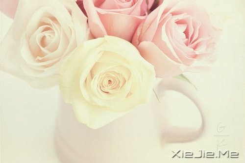 晚安心语:勇敢生活,微笑面对 (1)