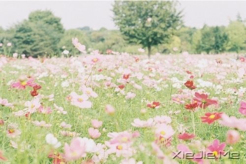 晚安心语:勇敢生活,微笑面对 (7)