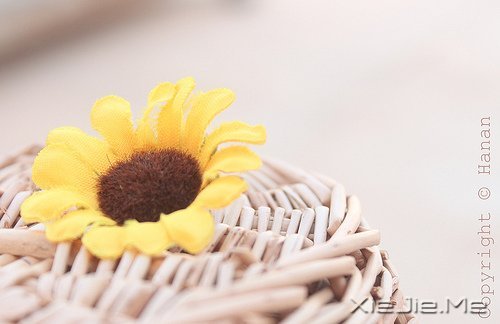 人生感悟:一位老人的九句话 (1)