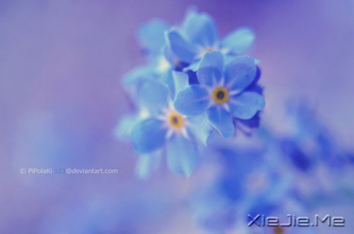 人生感悟:一位老人的九句话 (3)